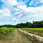 Winnica 