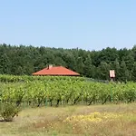 Winnica 