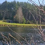 Winnica 