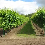 Winnica 