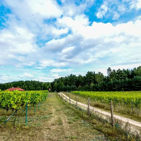 Winnica 