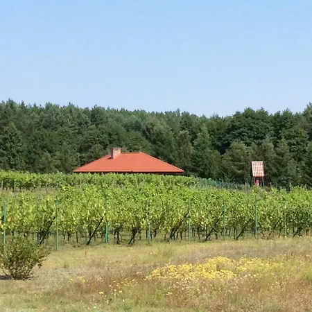 Winnica 