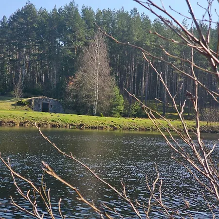 Winnica 