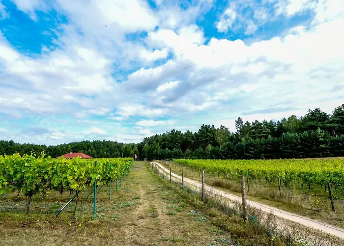 Winnica żabi Raj Gospodarstwo agroturystyczne Skarszewy