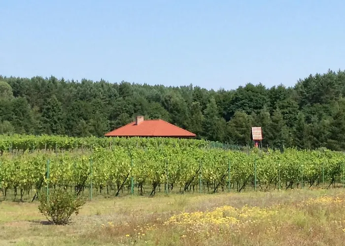 Winnica 