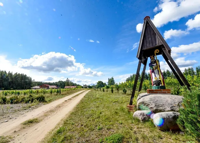 Winnica żabi Raj Gospodarstwo agroturystyczne Skarszewy