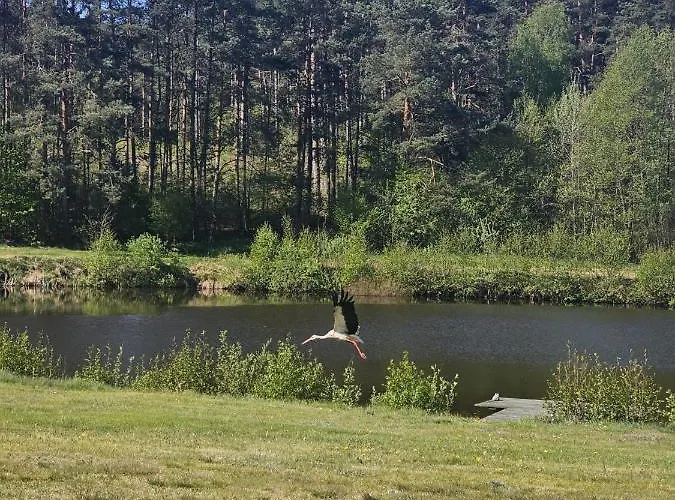 ファームステイ Winnica 