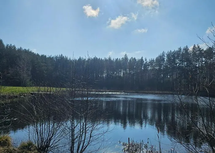 Winnica 